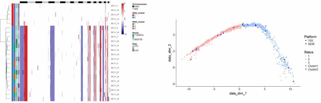 SIDR 기반 복제수 및 유전자 발현 군집화 결과와 10x Genomics 유전자 발현 결과 통합 분석