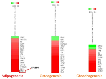 LPS 863 cells에서 저농도 HDAC inhibitor 처리 후 RNA Sequence 분석을 이용한 분화관련 유전자 확인