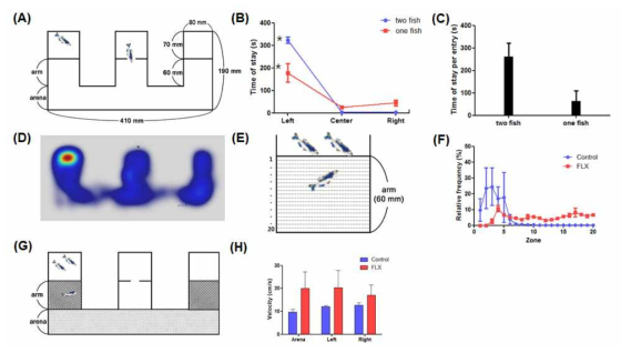 사회적 반응을 관찰하는 실험 모델과 fluoxetine(FLX)의 효과 (A) 사회적 반응 실험 모델의 모식도. 왼쪽과 오른쪽 방은 투명한 아크릴 벽으로 cue와 test fish가 나누어져있다. (B) Test fish가 3개의 방에 머무른 시간. 동종(conspecific fish) 자극(cue)이 left에 주어졌다. (C) 1회 출입할 때 머무르는 시간 (D) 제브라피시의 이동을 나타낸 Heatmap (E) Cue가 주어진 방을 가상적으로 20개 지역으로 나누었다. (F) (D)의 20개 부위에서 관찰되는 제브라피시의 분포 (G, H) 실험 기기의 공간을 arm과 arena로 구분하여 각 영역에서 이동 속도를 계산하였다