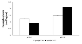 Exopolyphosphatase activity of wheat phytase toward polyP-70 and polyP-700 at specific pH. Data were expressed as the mean and standard error from three experiments
