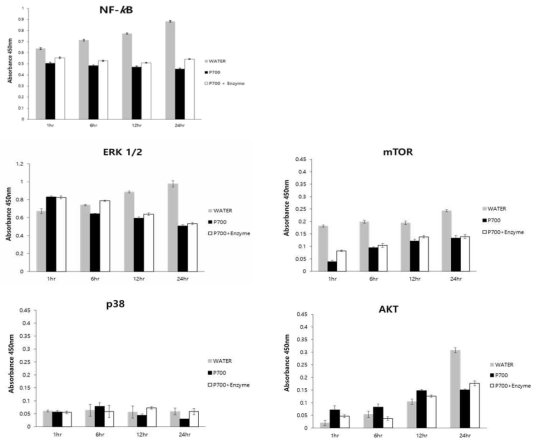Effect of polyP-700 hydrolyzed by wheat phytase on the activation of NF-kB, ERK 1/2, mTOR, p38, and AKT in HT-29 cell. Data were presented as the mean and standard error from three experiments