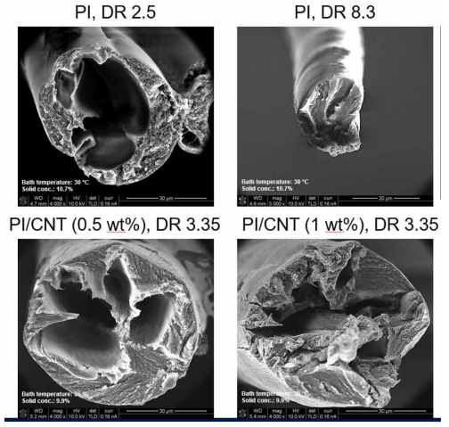 DR과 CNT 분산에 따른 PI섬유의 단면 형상변화
