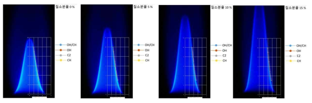 당량비 1.2의 파일럿화염(질소분율 0, 5, 10, 15%)의 라디칼 분포