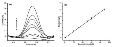 GO-MIP 센서에 대해 (a) 0.1nM, (b) 1.5nM, (c) 8nM, (d) 20nM, (e) 30nM, (f) 50nM, (g) 60nM and (h) 90nM 농도의 CAP를 포함하는 시료 용액의 (A) differential pulse voltammetry (DPV) 커브와 이를 이용하 여 얻어진 CAP 농도에 따른 (B) 검정곡선