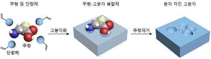 분자 각인 고분자 제조과정