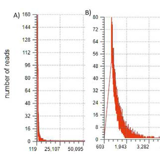 PacBio sequence is 20Mb and 1,800 bp for HiSeq