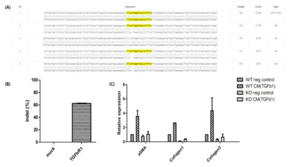 spCas9 단백질과 sgRNA 를 electroporation method 로 TGFbR1 유전자 KO 을 수행하였다. 그 후 NGS기법으로 targeted deep sequencing한 결과 다양한 패턴의 insertion/deletion 을 보였으며 (A) 2번의 반복실험에서 62% 가량의 KO 효율을 보이고 있다 (B). WT 과 KO primary cell 을 이용하여 exogenous TGFbR1 CM assay 에서 TGFbR1 없이는 TGFb pathway 가 turn on 되지 않고, TGFb1 에 의한 collagen 합성이 유의하게 저해되는 것을 알 수 있다