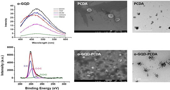 그래핀 양자점의 용매에 따른 형광 차이와 화학적 조성성, 주사전자현미경과 투과전자현미경 분석 공액고분자(위), 공액고분자-그래핀 양자점 하이브리드(아래)