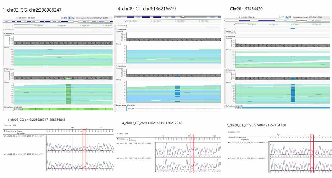 Somatic mutation validation with Sanger sequencing method