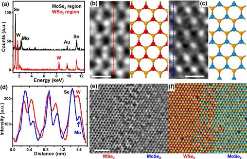 MoSe2/WSe2 Lateral Heterostructure. (a) WSe2, MoSe2 영역의 EDS spectra (b-c) HAAD-STEM MoSe2, WSe2 영역 확대 이미지와 원자구조 모형