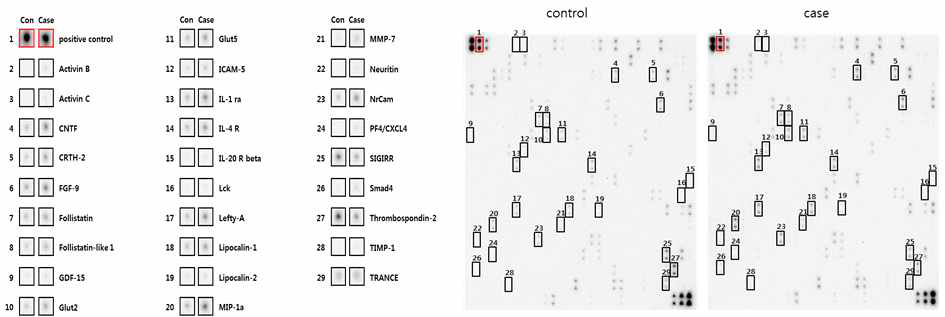 자궁경관무력증시 자궁경부봉축술 후 치료경과에 따른 혈장의 antibody microarray 분석