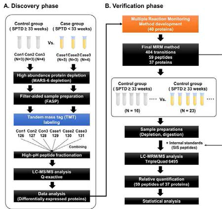 Workflow for discovery proteomics study