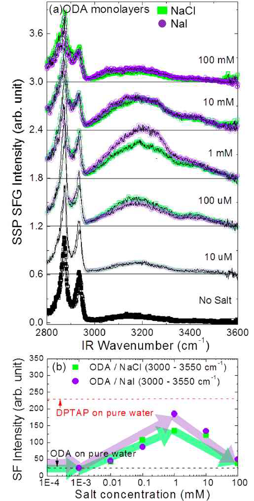 아민 그룹을 가진 분자 단일막 Langmuir monolayer 시스템의 염 농도에 따른 표면 합주파수 신호의 변화