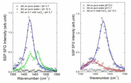 표면 합주파수 분광학을 이용하여 지방산으로 만들어진 분자 단일막의 carboxylic headgroup과 전기 이중층 구조를 관찰한 실험 결과. 같은 3가 양이온이더라도 Fe와 La처럼 다른 금속 이온에 대해서는 매우 다른 스펙트럼이 관찰된다