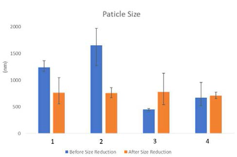 보리코나졸 리포좀 제형의 particle size