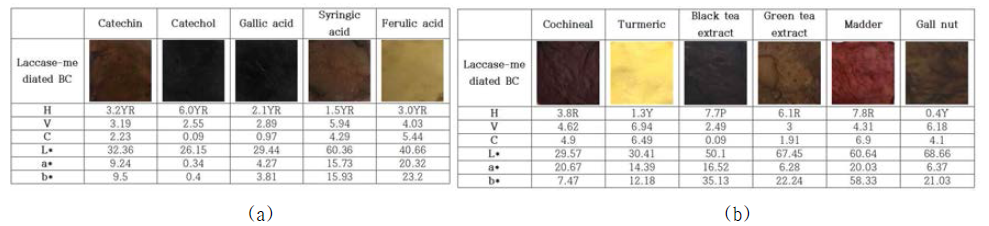 The images, HV/C and L*,a*,b* value of BC samples after polymerization of synthesis phenolics polymers(a) and natural phenolic polymers(b)