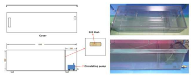 아쿠아포닉스 순환 수조 개략도 및 제작 후 모습