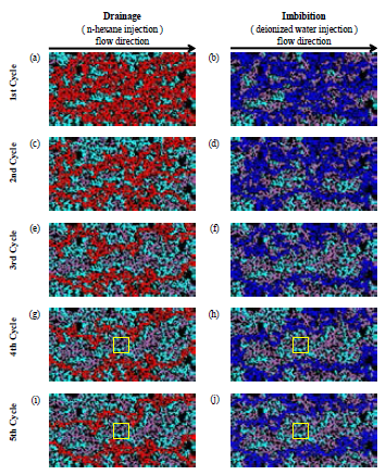 Sequential images over the course of five drainage-imbibition cycles. (a, c, e, g and i) After the completion of the drainage (n-hexane injection), (b, d, f, h and j) after the completion of imbibition (deionized water injection) (Experimental condition: 0.1 MPa, 25℃ and 10 μL/min). The difference of the color distinguish flowing n-hexane (red), residual n-hexane (purple), flowing deionized water (blue) and residual deionized water (sky blue)