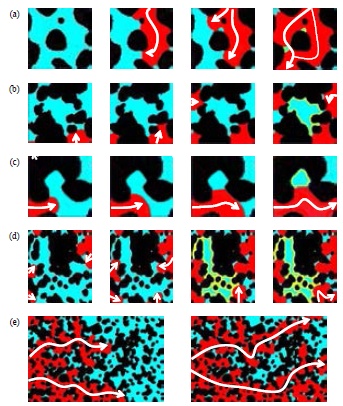 Enlarged Images after the completion of 1st Drainage. Residual trapping by (a) wettability, (b) capillarity, (c) dead end zone, (d) entrapment and (e) bypassing. The difference of the color distinguish flowing n-hexane (red) and residual deionized water (sky blue)