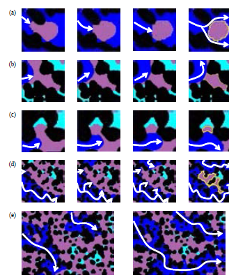 Enlarged Images after the completion of 1st Imbibition. Residual trapping by (a) wettability, (b) capillarity, (c) dead end zone, (d) entrapment and (e) bypassing. The difference of the color distinguish residual n-hexane (purple), flowing deionized water (blue) and residual deionized water (sky blue)