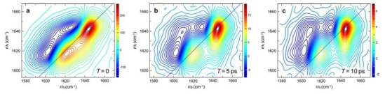 5M CaCl2 수용액에 녹아 있는 NMA의 기다림 시간에 따른 이차원적외선 스펙트럼. (a) 기다림 시간 0. (b) 기다림 시간 5 ps. (c) 기다림 시간 10 ps