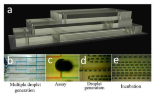 본 연구개발에서 제안하는 다층구조의 마이크로캡슐생성화를 위한 미세유체칩 모식도 및 실제 칩이 구동되는 원리를 보여주는 현미경 이미지. (a) 다층구조 미세유체칩 모식도, (b) 다중 마이크로캡슐생성 이미지, (c) 하나의 채널을 확대한 마이크로캡슐화 이미지, (d) 칩내부 생성된 마이크로캡슐 현미경 이미지