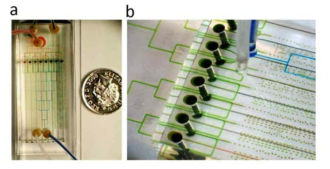실제 제작한 다층구조 미세유체칩의 사진(a)과 멀티채널 flow-focusing구조에서의 마이크로캡슐 생성화 사진(b)