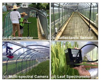 Observation pictures of (a) Field-spectrometer, (b) Spectral reflectance sensors, (c) Multispectral camera, and (d) Leaf spectrometer in the temperature gradient field chamber (TGFC)
