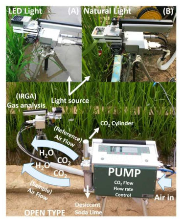 Description of LI-6400 portable photosynthesis system with two types of light sources. 23 cm opaque leaf cuvette fitted with an internal red-blue LED light source (6400-02B LED) (A), and 23 cm clear-top chamber (B)