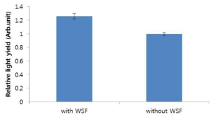 WSF 사용에 따른 섬광량 변환