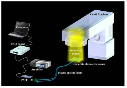 초박형 방사선량계의 센서부 특성평가를 위한 실험구성