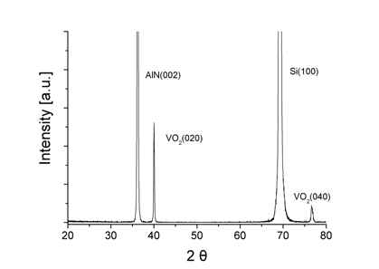 제작된 VO2/AlN/Si 박막의 XRD 패턴