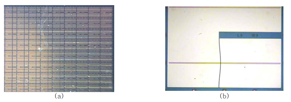 (a) VO2/AlN 박막 기반 평면형 2단자 소자의 집적된 소자 모습, (b) L = 5 μm 및 W = 5 μm인 VO2/AlN 박막 기반 단위 소자의 모습