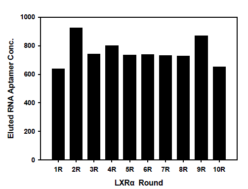 Nano-drop을 활용한 LXRα SELEX round의 affinity 확인 결과