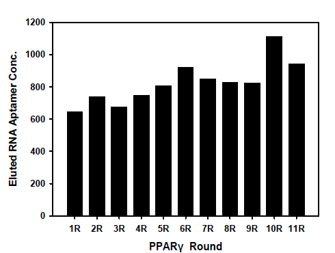Nano-drop을 활용한 PPARγ SELEX round의 affinity 확인 결과