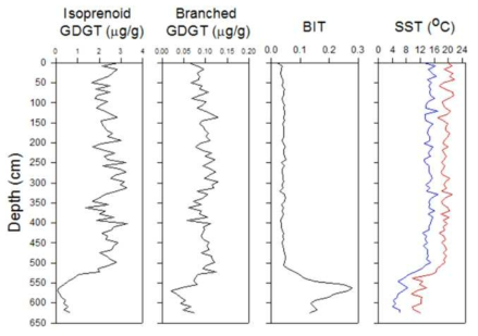 코아퇴적물의 GDGT 프록시 결과