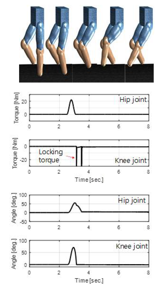 고관절 토크에 의해 유도되는 슬관절 회전 (시뮬레이션 결과)