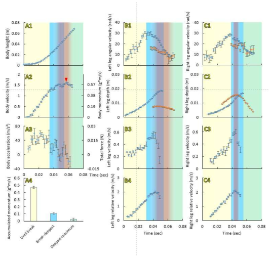 Kinematics and dynamics of the jumping on water by the giant water strider, Gigantometra gigas. Results from analysis of a jump. A) variables obtained from the body movement: changes of body height above the water surface (A1), body velocity (A2) and body acceleration (A3) during the jump. Right side axes in A2 and A3 indicated the changes of body momentum (A1) and total force (A3) during the jump calculated from the body movement and body mass. A4 shows the comparison between the values of momentum gained during the three phases of jump: the surface-tension phase (yellow), the drag phase (blue) and the final phase, between the moment of reaching the deepest point and the moment of reaching maximal take off velocity of the body (green). B) and C) contain variables concerning the left (B) and right (C) movements of midlegs (blue circles) and hindlegs (brown circles in B1, B2, C1, C2): angular downward velocity (B1, C1), depth (B2, C2), downward velocity (B3, C3) and downward velocity relative to the body position (B4, C4). Yellow background indicates the surface-tension phase until the moment of surface breaking. Blue background indicates the drag phase between the moment of surface breaking (in A it is an average from right and left midleg breaking) and the moment of reaching the maximal depth of legs (in A it is an average from the left and right midleg). Green indicates the final phase when the whole insect moves upward. Orange band indicates the moment of losing contact with water (in A it is an average from left and right leg). Red arrow in A2 indicates the moment of maximal body velocity