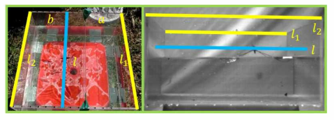 The method of re-calculation from pixel-based to absolute (mm) coordinates. High-speed camera recorded the jumping of the water strider at the left side of the 30cm by 30cm water tank (as oriented in A) and another normal camera recorded the jump from above. Every 2cm on the sidewall is marked. The real scale distance per each pixel at the position of the water strider jumped is calculated by proportion