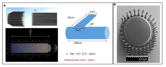 Examples of attempts at designs of legs covered with hair (seatae) imitating the water strider leg (A) and SEM image of a 3D printed leg (B) by the collaborating laboratory of Prof. Hongsoo Choi, DGIST (Lee et al. 2019)