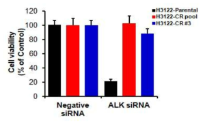 내성 세포주에 siRNA로 knocdown 수행 후 세포의 성장률 비교