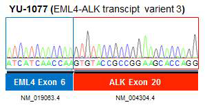 ALK domain내 mutation 확인