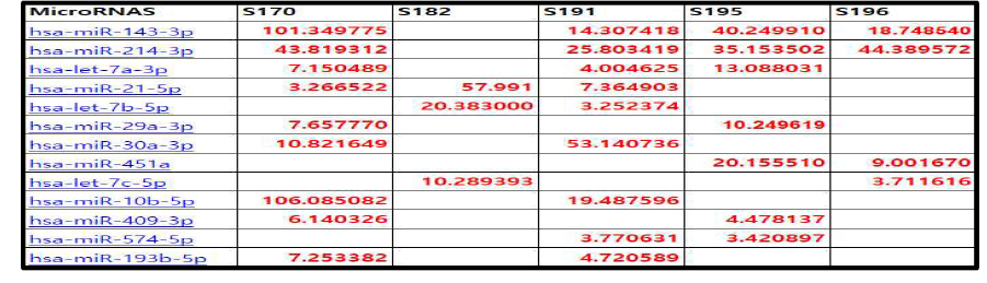 뇌사자신장이식 허혈재관류손상시 발생되는 microRNA 의 발현량의 fold change (small RNA NGS 결과)