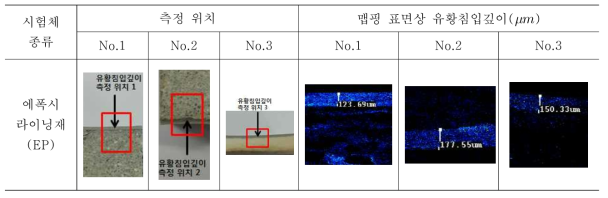 EPMA 분석장치에 의한 유황침입깊이 측정 (황산침지기간: 60일)