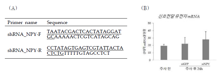 신호전달 유전자의 발현억제 시스템 개발. 표적유전자 shRNA제작을 위한 primer 서열 (밑줄은 T7 프로머터 부위) (A), siRNA시스템을 이용한 표적유전자 억제 효과 실험 결과 (B)