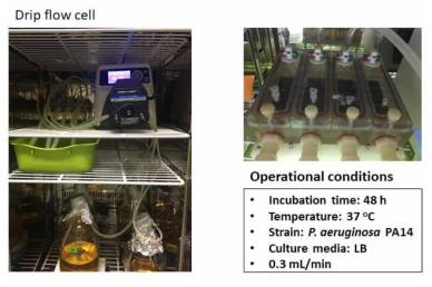 Drip flow cell reactor 구성 및 실험 조건