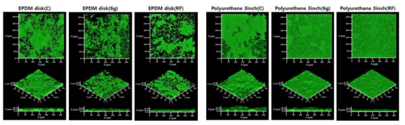 EPDM disk, Polyurethane 3 inch 소재 산기관의 생물막 형성 특성 (좌:대조군, 가운데:6-Gingerol, 우:raffinose)