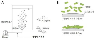 생물막 억제제 주입을 통한 생물막 형성 억제 개념도. (A) 공기와 혼합하여 생물막 억제제 주입, (B) 생물막 억제제 주입 효과