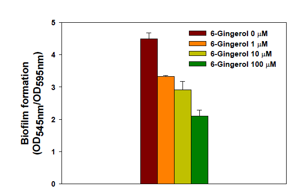 6-Gingerol 농도에 따른 생물막 억제 효과