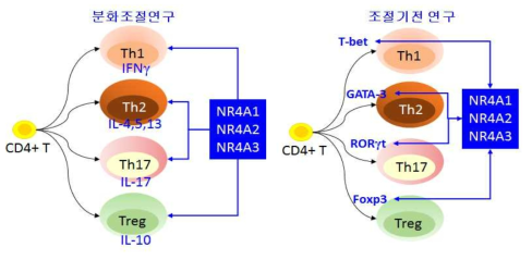 1차년도 연구 개요